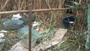 За прошедшую неделю в ходе совместных рейдов у нарушителей изъято 729,34 кг рыбы, из них 368,95 кг рыбы осетровых видов