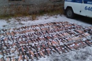 Результаты деятельности органов рыбоохраны Баренцево-Беломорского ТУ Росрыболовства с 29 октября по 05 ноября 2018 года