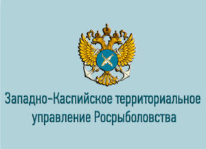Показатели работы Западно-Каспийского ТУ Росрыболовства с 5 по 11 ноября 2018 года