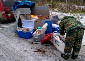 Результаты деятельности органов рыбоохраны Баренцево-Беломорского ТУ Росрыболовства с 06 по 12 ноября 2018 года