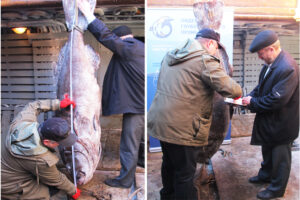 Ученые изучили монаха-рекордсмена