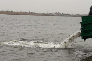 Здесь рыба есть!