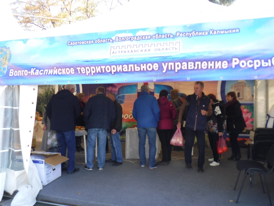 Волго-Каспийское теруправление приняло участие в фестивале национальных кухонь России