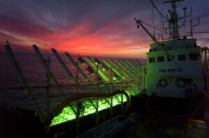 Ученые предложат сайроловам новое эффективное промысловое оборудование