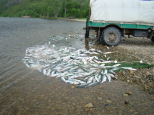 О пользе межведомственного взаимодействия