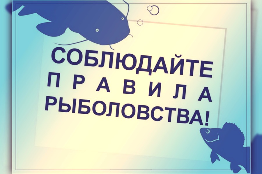 Внесены изменения в правила рыболовства для Волжско-Каспийского рыбохозяйственного бассейна