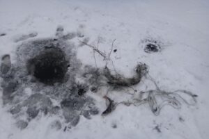 О работе отдела государственного контроля, надзора и охраны водных биологических ресурсов по Владимирской области