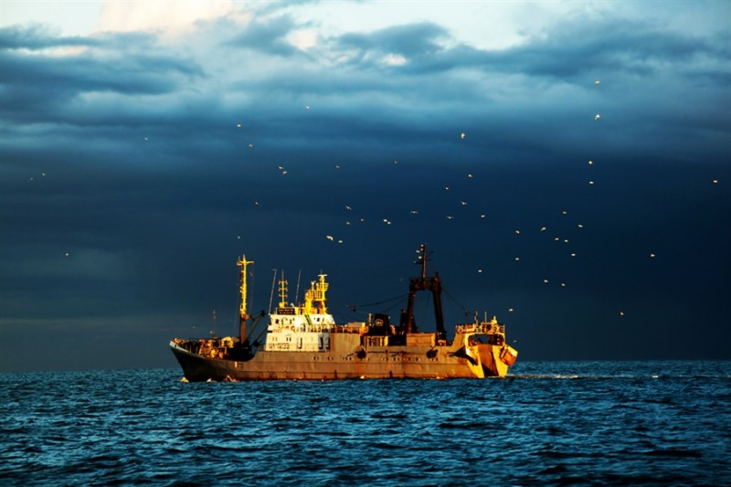 Российские рыбаки идут с опережением прошлогоднего уровня вылова на 6% – освоено более 4,8 млн тонн