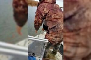 Извлечено более 1 300 метров браконьерских сетей из водной среды Аграханского залива