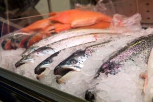 Результаты лососевой путины отзываются в центральной части России: оптовые цены на горбушу начали снижаться