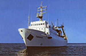 На глубинах Берингова моря увеличились запасы кальмаров