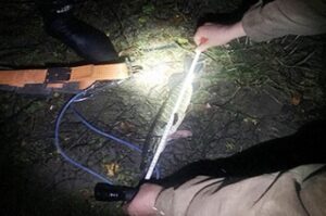 Результаты контрольно-надзорных мероприятий Западно-Балтийского территориального управления Росрыболовства