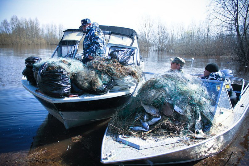 В ходе рыбоохранных мероприятий на Камчатке и Чукотке у браконьеров изъято свыше 400 тонн рыбы и 22 тонны икры