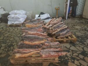 Новости территориального отдела по городу Москве: «Канал поставки браконьерской продукции ликвидирован»