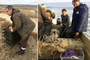 АзНИИРХ подготовит рекомендации для развития марикультуры в Кизилташском лимане