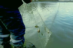 Извлечено более 1000 метров браконьерских сетей