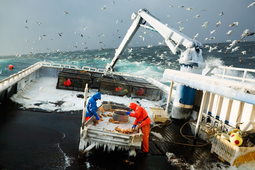 К 26 декабря российские рыбаки нарастили вылов на 5,4% и освоили 4,96 млн тонн водных биоресурсов