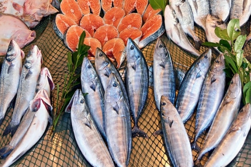 Рыбные ряды: мониторинг оптовых цен за прошедшую неделю – с 17 по 23 декабря
