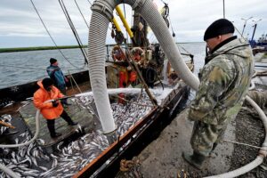 О получении разрешений на добычу (вылов) ВБР на 2019 год в выходные и праздничные дни