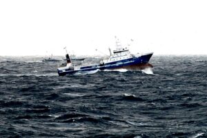 Вниманию судовладельцев и руководителей рыбопромысловых предприятий