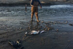 В Магарамкентском районе Дагестана задержан браконьер с запрещенным орудием лова