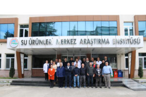 Российская технология определения возраста хамсы в Черном море станет основой международной методики