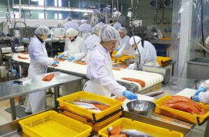 Росрыболовство: 1 марта стартует 4-й этап заявочной кампании по предоставлению инвестквот