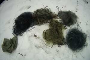 Результаты деятельности органов рыбоохраны Баренцево-Беломорского ТУ Росрыболовства с 11 по 17 февраля 2019 года.