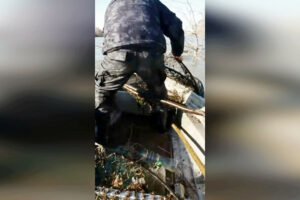 15 браконьерских сетей и 2 вентеря извлечены из реки Терек