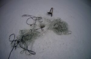 Результаты деятельности органов рыбоохраны Баренцево-Беломорского ТУ Росрыболовства с 18 по 24 февраля 2019 года