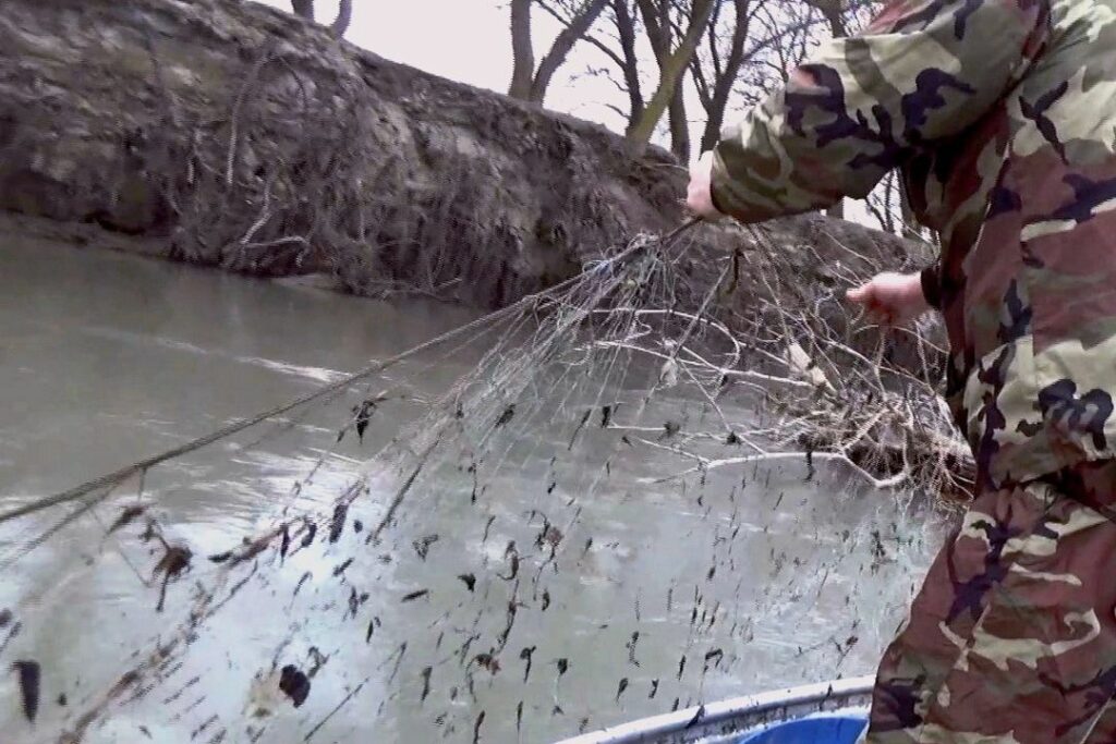 Незаконно установленные орудия лова извлечены из реки Терек в Дагестане