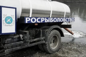 Более 133 миллионов экземпляров молоди частиковой рыбы и 240 тысяч экземпляров молоди осетровых пополнят воды Северного Кавказа в 2019 году