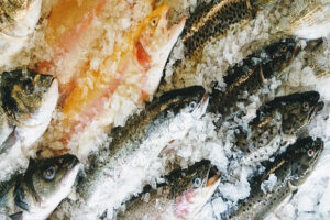Рыбные ряды: обзор оптовых цен за период с 28 января по 4 февраля