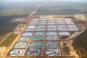 Росрыболовство: 30 тыс. га участков под аквакультуру будут распределены через аукционы