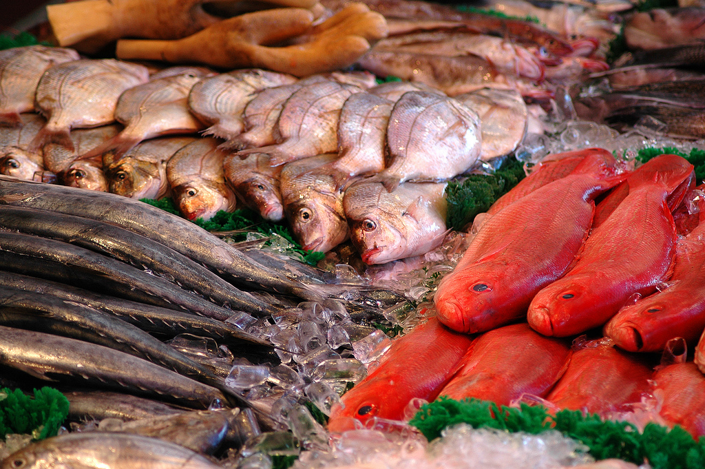 Рыбные ряды: обзор оптовых цен с 18 по 25 февраля