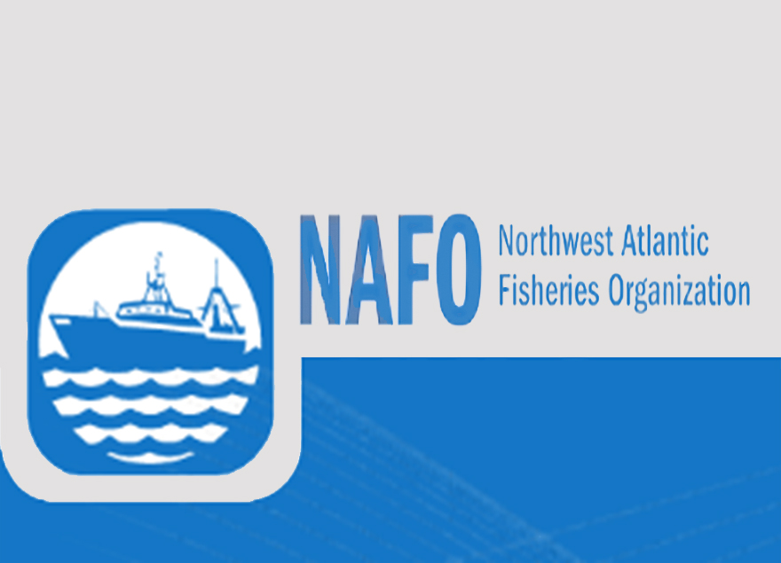 Росрыболовство 18 февраля начинает прием заявок на вылов рыбы в районе НАФО и водах Норвегии