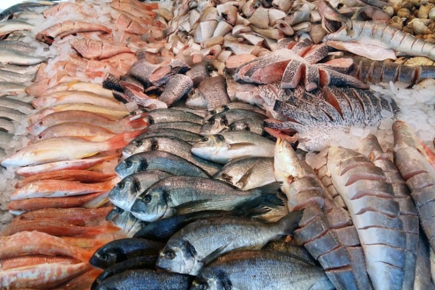 Рыбные ряды: обзор оптовых цен с 11 по 17 февраля 2019 года