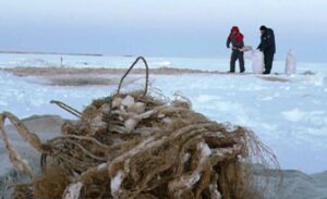 Нелегальный вылов рыбы на полмиллиона рублей