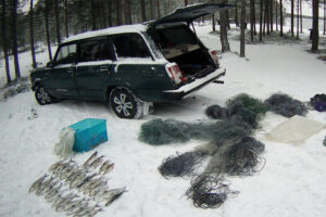 Результаты деятельности органов рыбоохраны Баренцево-Беломорского ТУ Росрыболовства с 25 февраля по 03 марта 2019 года.