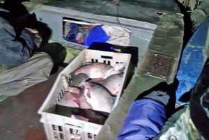 Результаты контрольно-надзорных мероприятий Западно-Балтийского территориального управления Росрыболовства