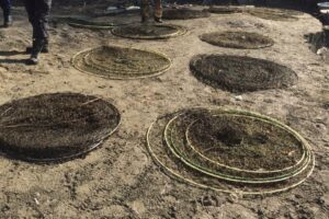 Большое количество незаконно установленных орудий лова извлечено из реки Терек в Дагестане