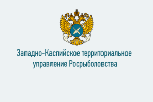 О проведении второго этапа конкурса на замещение вакантной должности государственной гражданской службы