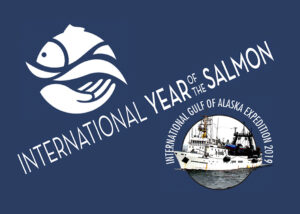 Тайная жизнь лососей: за новостями экспедиции в заливе Аляска следят по всему миру