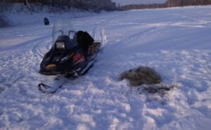 О работе отдела государственного контроля, надзора и охраны водных биологических ресурсов по Ивановской области