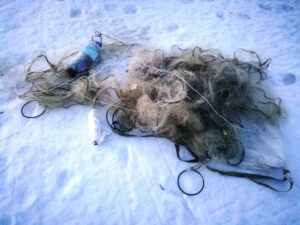 О работе отдела государственного контроля, надзора и охраны водных биологических ресурсов по Ивановской области