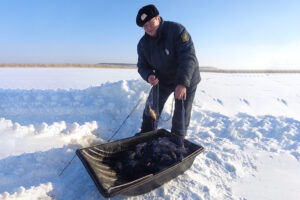 Результаты деятельности инспекторов рыбоохраны Нижнеобского ТУ Росрыболовства за период с 25 по 3 марта