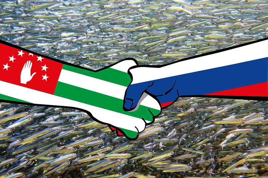 Россия и Абхазия в мае согласуют условия промысла в Черном море