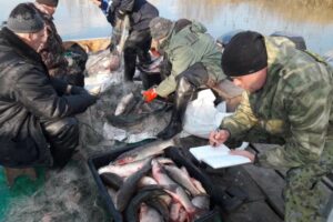 Рыбоохранный рейд в дельте реки Дон