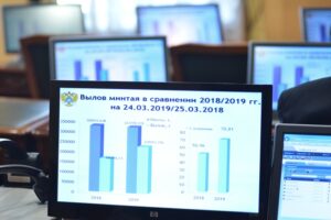 Охотоморская путина: на промысле минтая вылов увеличился на 3,6% – до 731 тыс. тонн