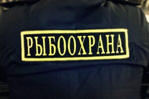 78 правонарушений выявлено Западно-Каспийским ТУ Росрыболовства за прошедшую неделю